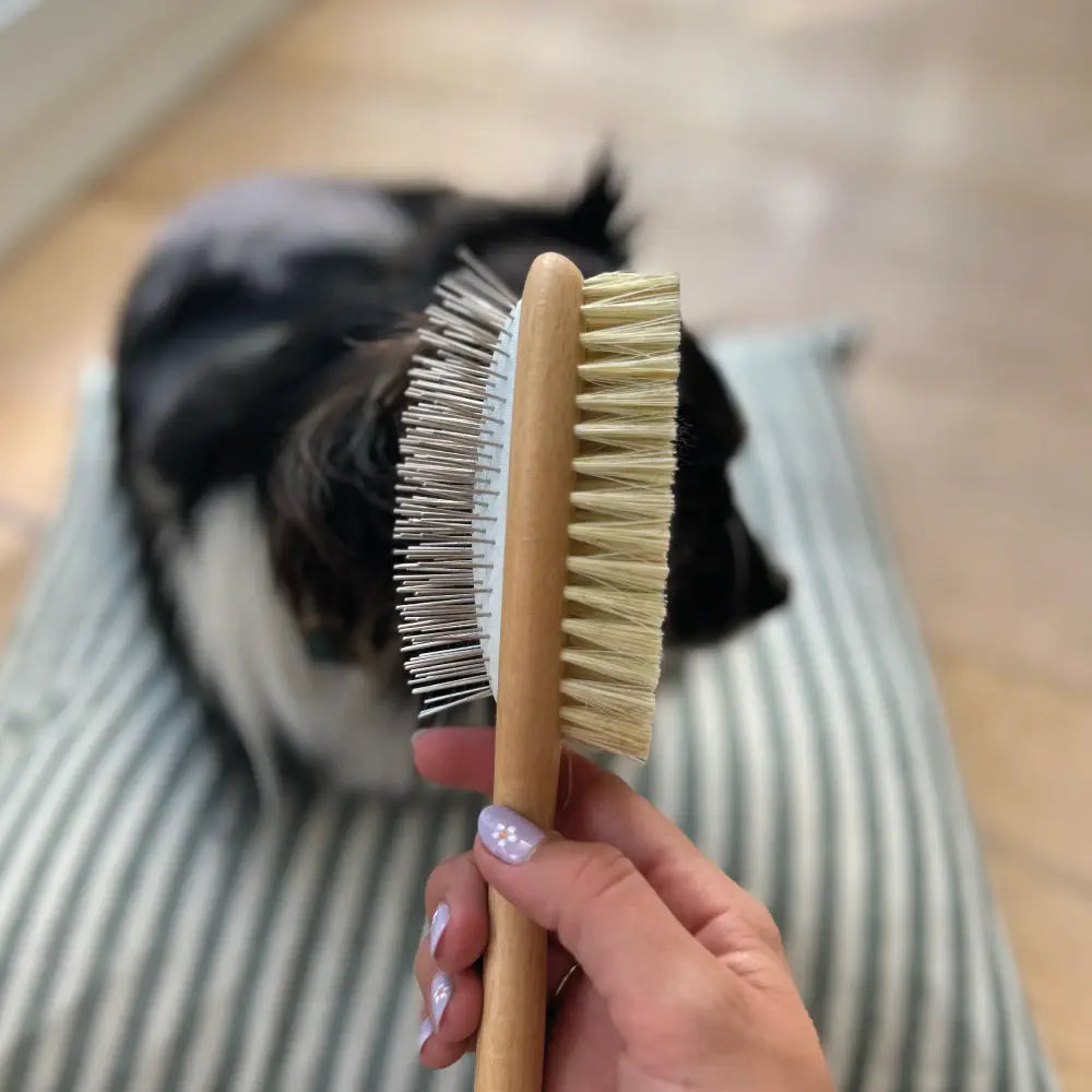 Brosse double face pour poils longs et mi-longs - Toutoustore