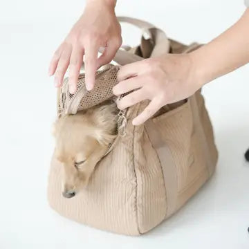 CITY TRANSPORTEUR POUR CHIENS - Toutoustore