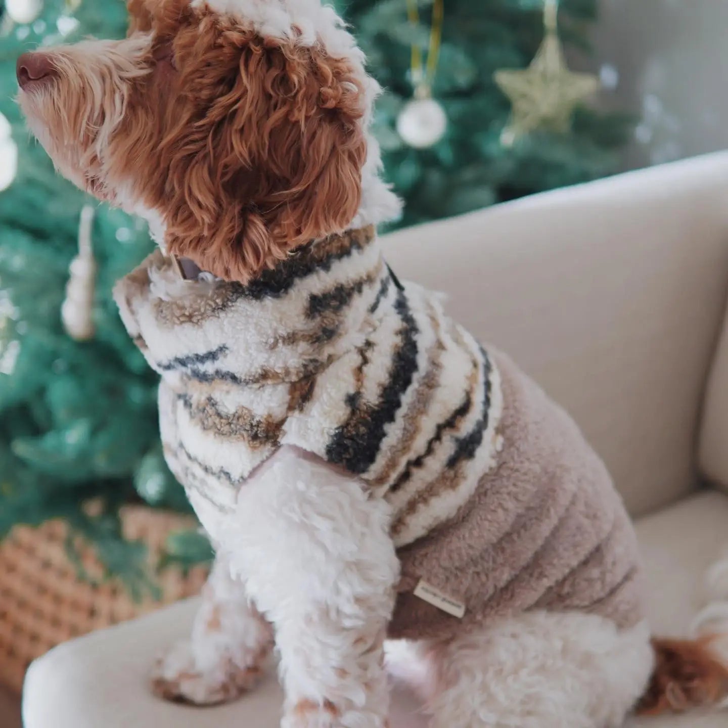 CAMPING-CAR VÊTEMENTS POUR CHIEN - Toutoustore