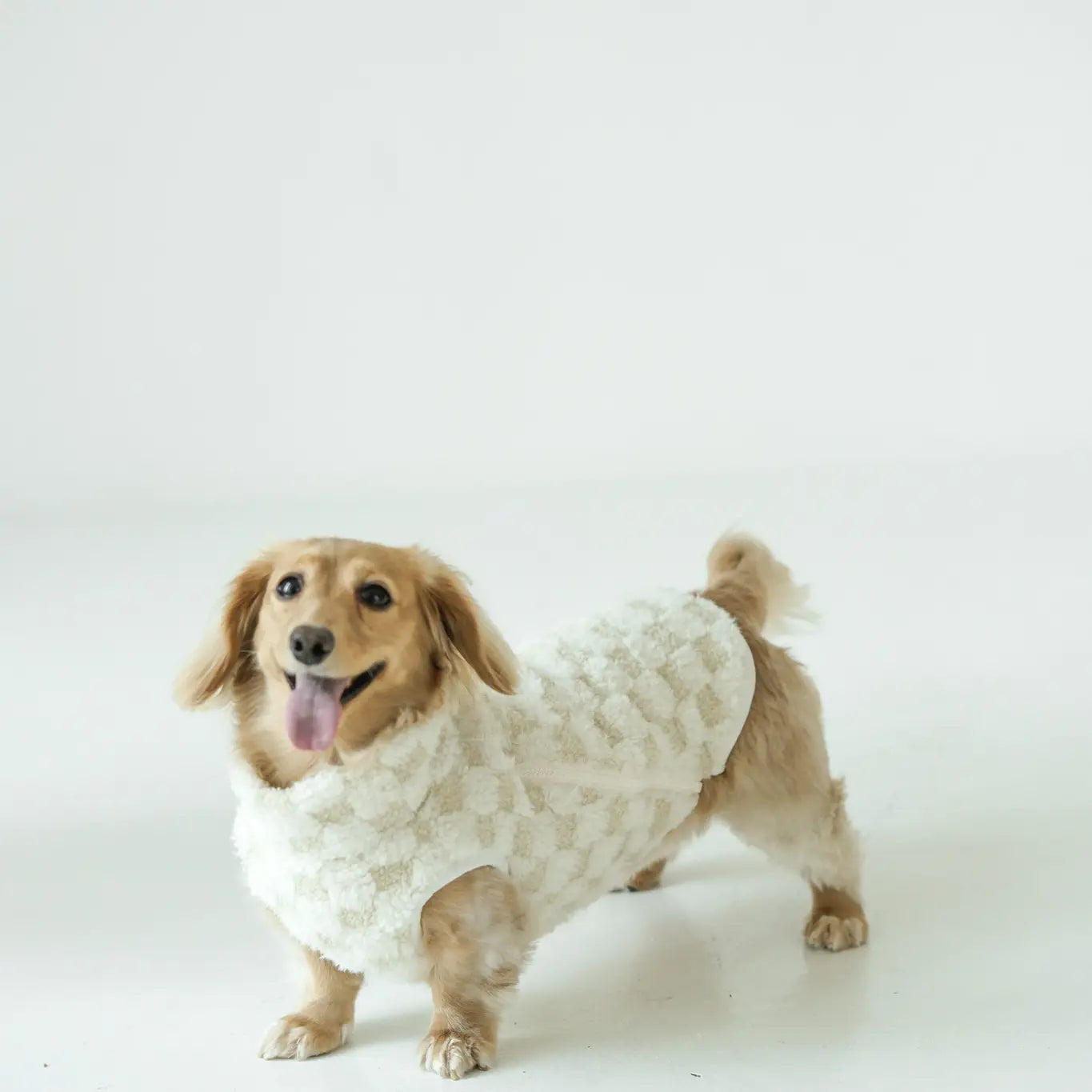 CROSBY VÊTEMENTS POUR CHIENS - Toutoustore