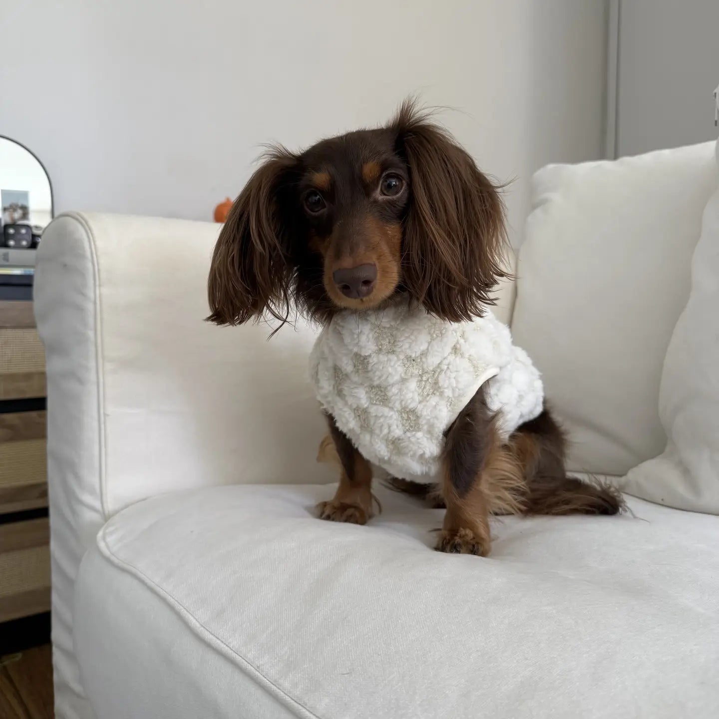 CROSBY VÊTEMENTS POUR CHIENS - Toutoustore