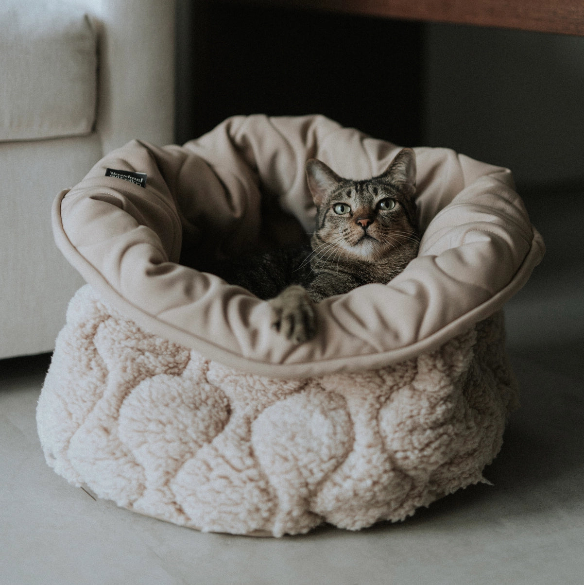 LIT À TARTES POUR CHIEN ET CHAT - Toutoustore