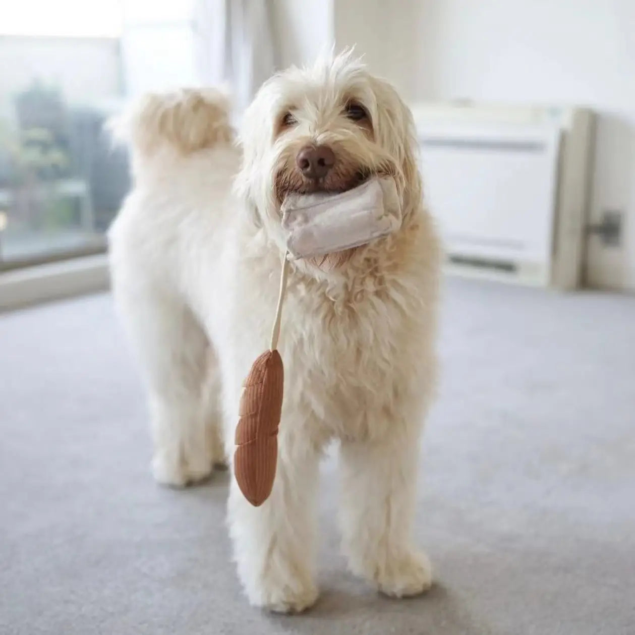 JOUET POUR CHIEN MINI-BAGUETTE - Toutoustore