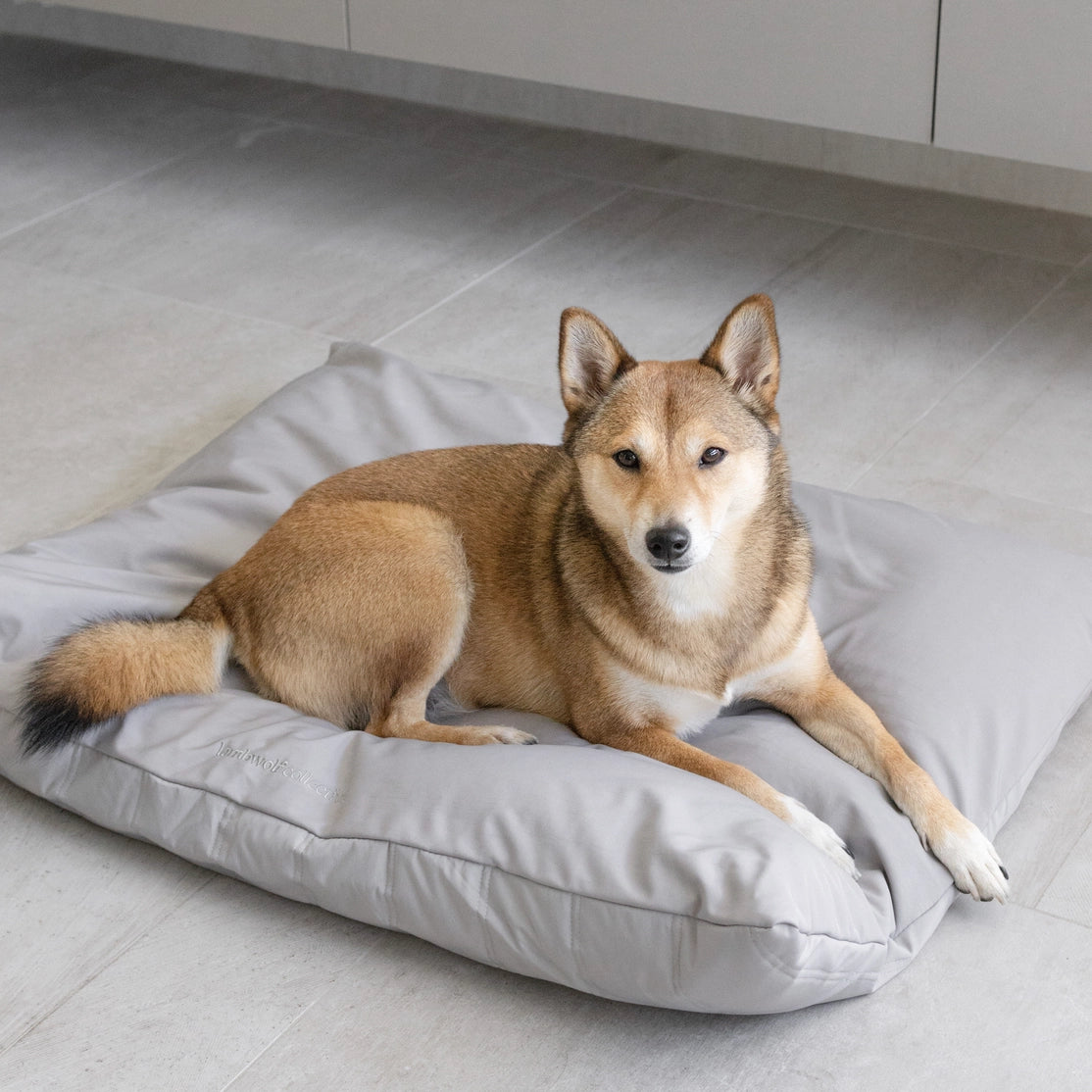 LATIN LIT POUR ANIMAUX - CHIEN - Toutoustore