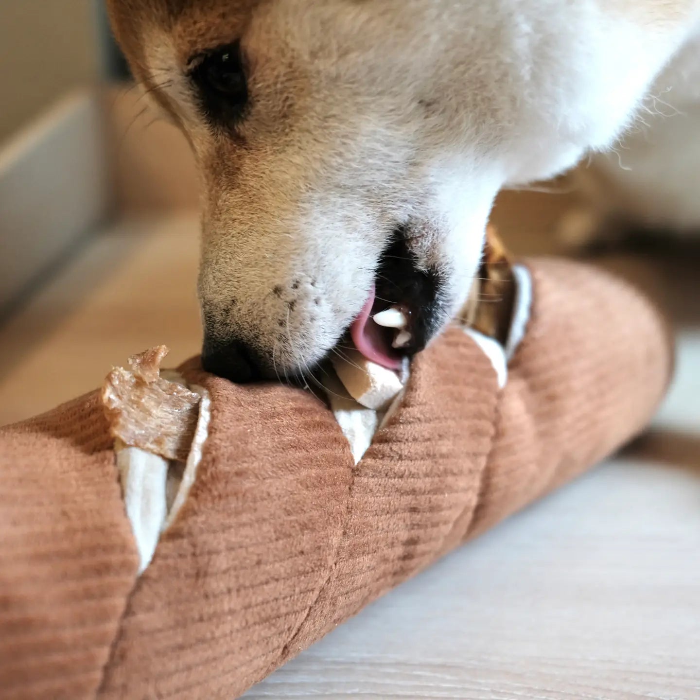 JOUET POUR CHIEN BAGUETTE ENRICHISSEMENT - Toutoustore