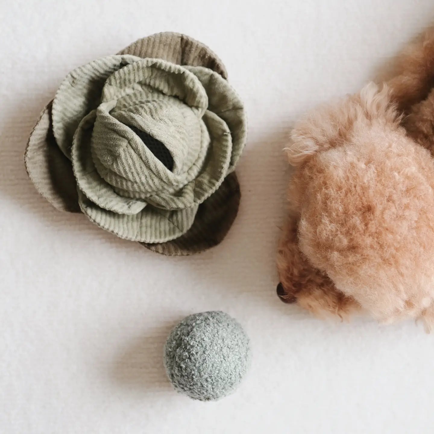 JOUET POUR CHIEN CABBAGE POP ENRICHISSEMENT - Toutoustore
