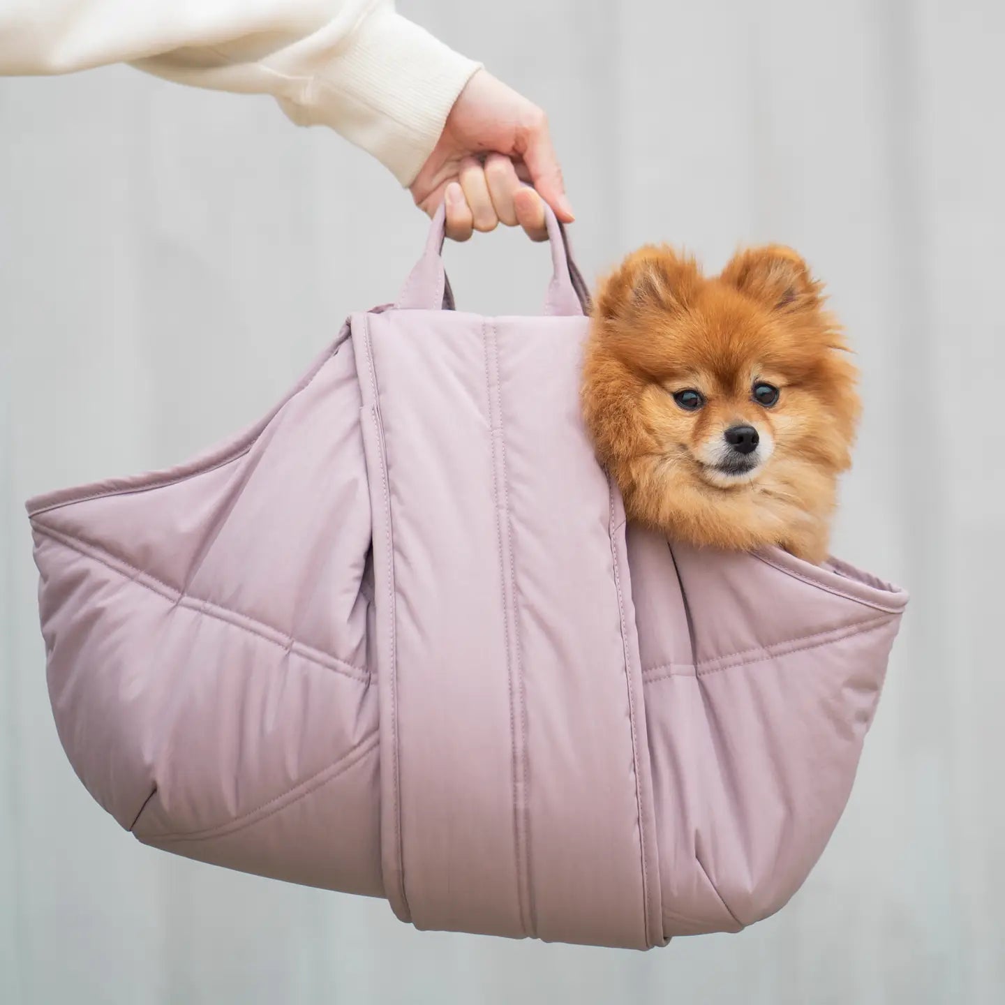 OLLA PETIT NACELLE DE TRANSPORT POUR CHIENS - Toutoustore