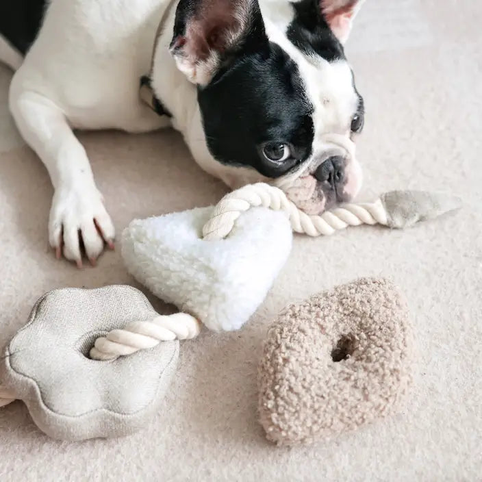 JOUET POUR CHIEN BLOCS ENRICHISSEMENT - Toutoustore