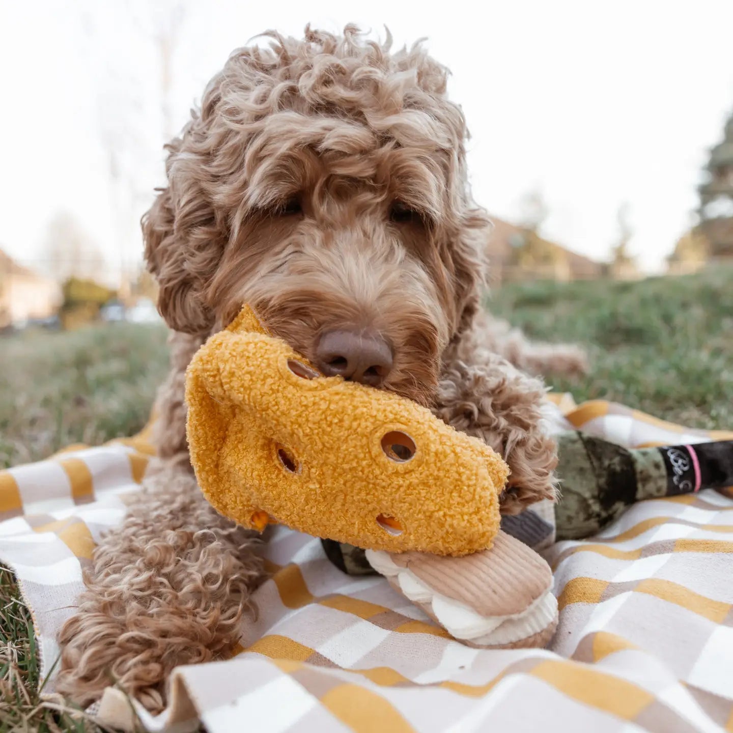 JOUET POUR CHIEN FROMAGE ENRICHISSEMENT - Toutoustore