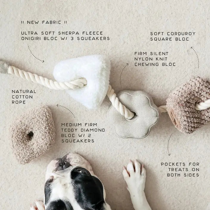 JOUET POUR CHIEN BLOCS ENRICHISSEMENT - Toutoustore