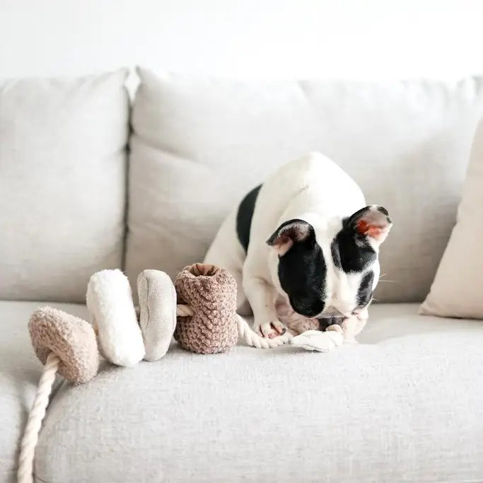JOUET POUR CHIEN BLOCS ENRICHISSEMENT - Toutoustore