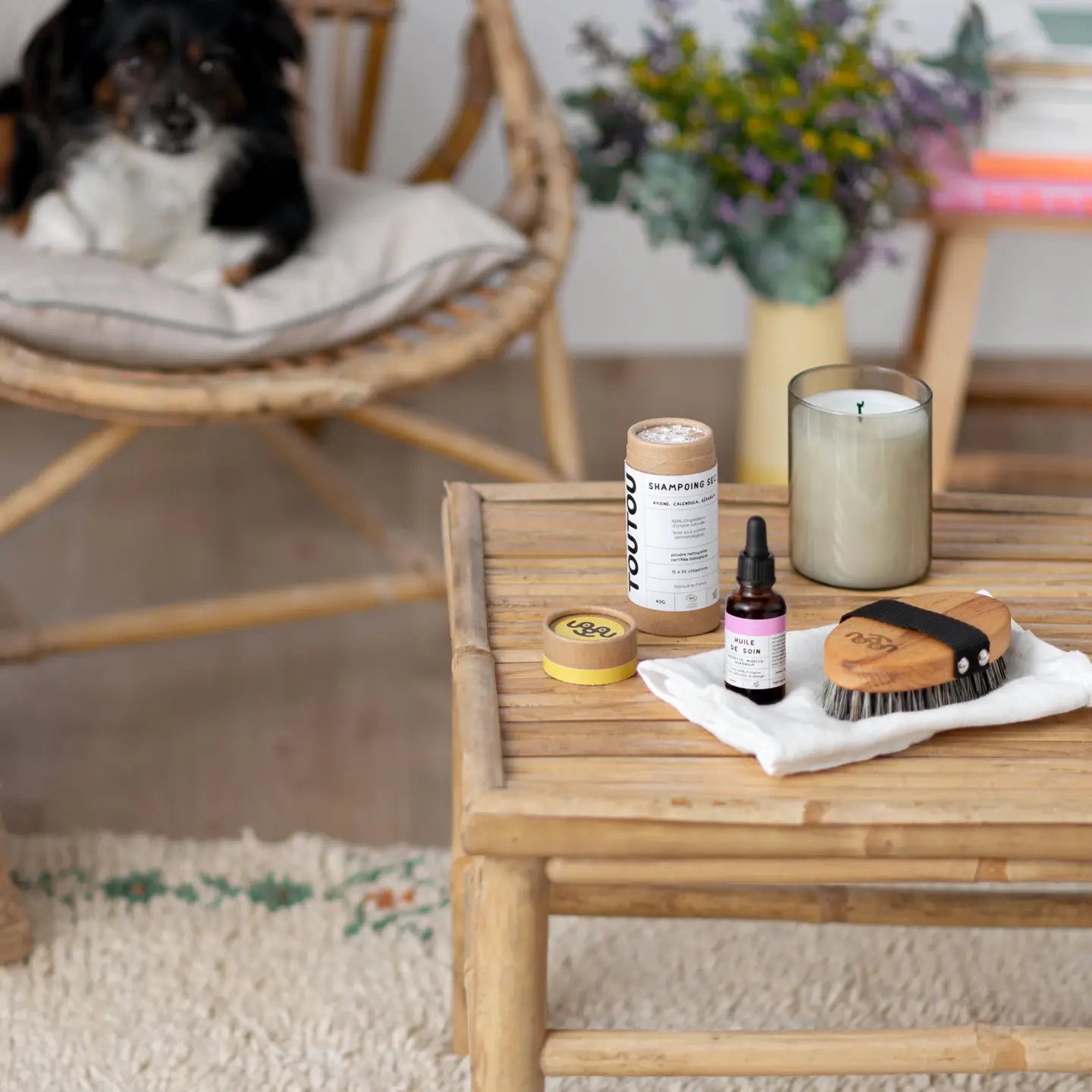 Huile de soin pour chien (peau et poils) - Toutoustore