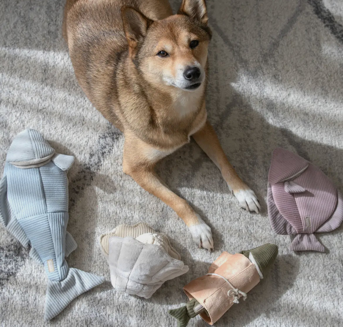 JOUET POUR CHIEN OYSTER
POP ENRICHISSEMENT - Toutoustore