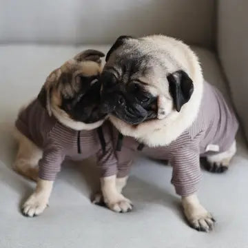 BRETON VÊTEMENTS POUR CHIEN - Toutoustore