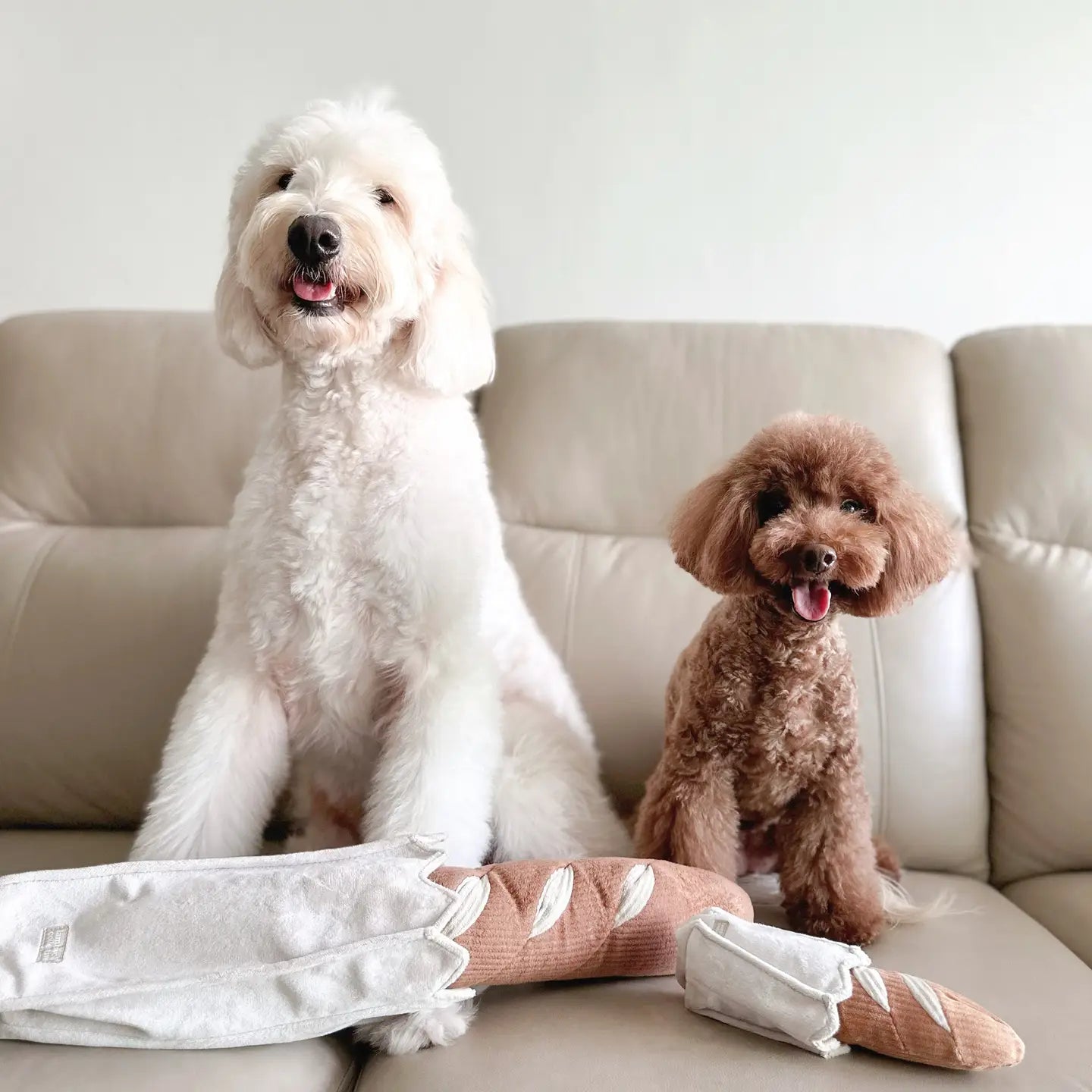 JOUET POUR CHIEN MINI-BAGUETTE - Toutoustore