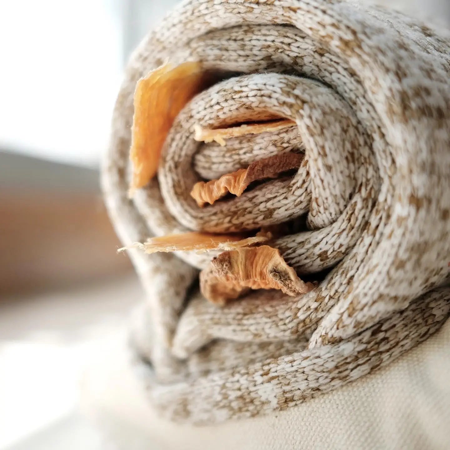 JOUET POUR CHIEN ESCARGOT ENRICHISSEMENT - Toutoustore