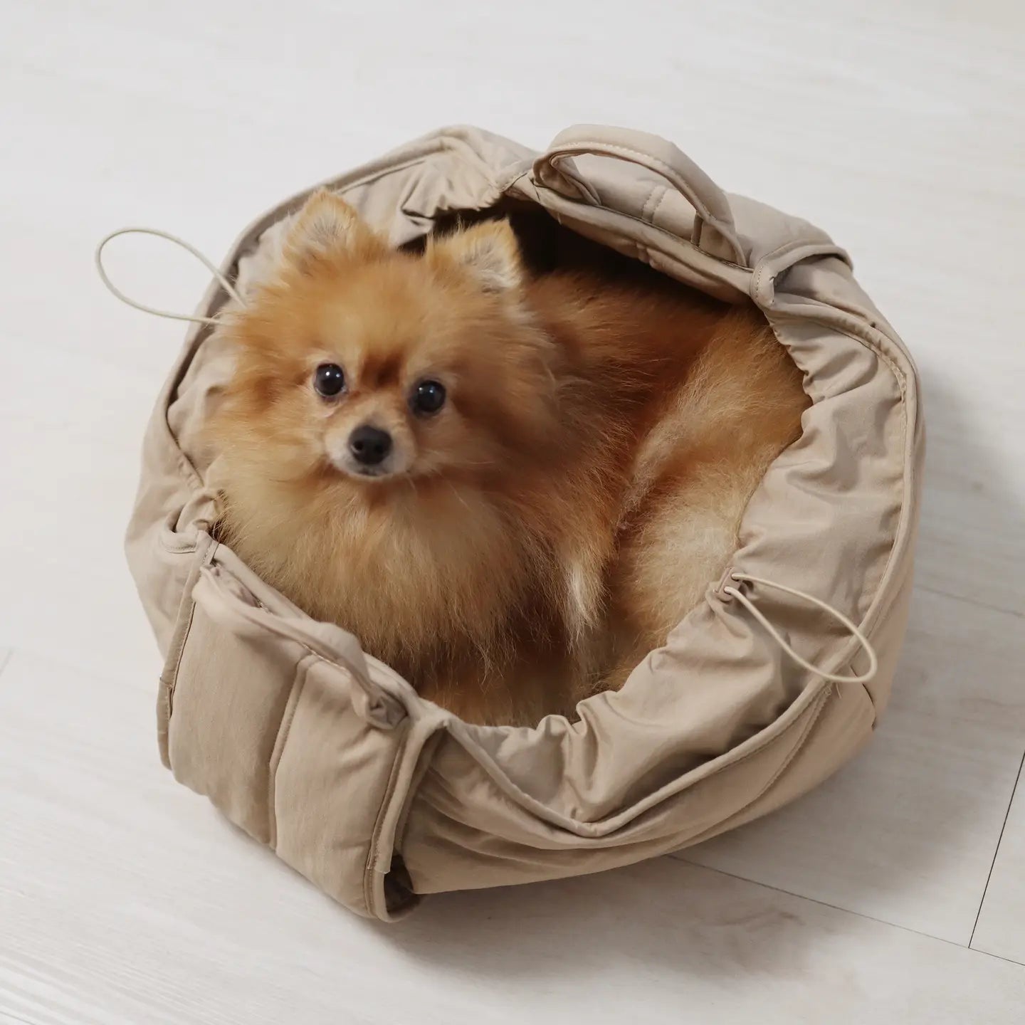 OLLA PETIT NACELLE DE TRANSPORT POUR CHIENS - Toutoustore