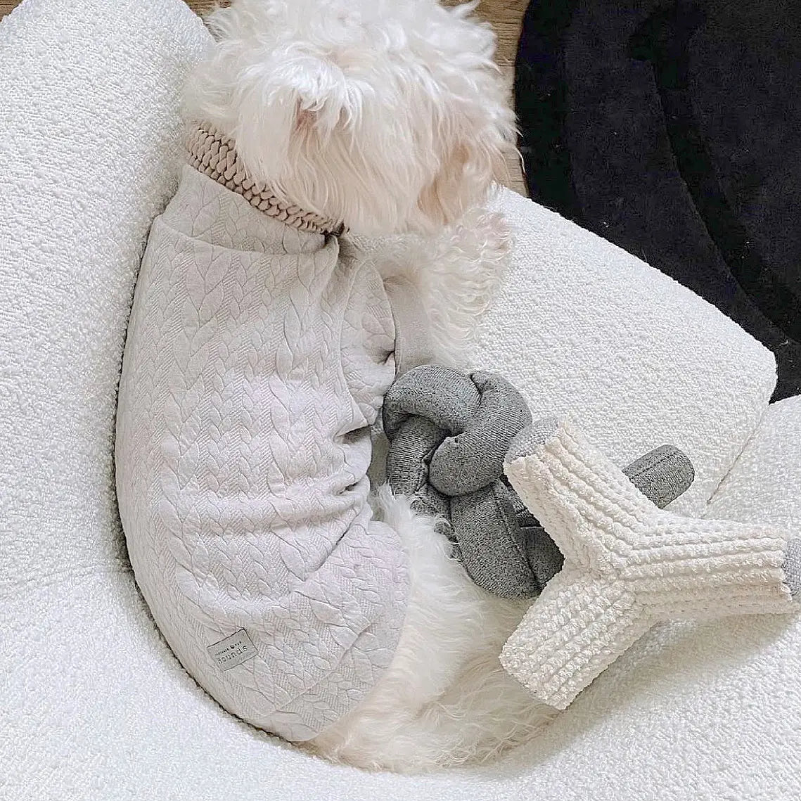 NOU JOUET POUR CHIEN ANTHRACITE AVEC GRAPPES FROISSÉES - Toutoustore