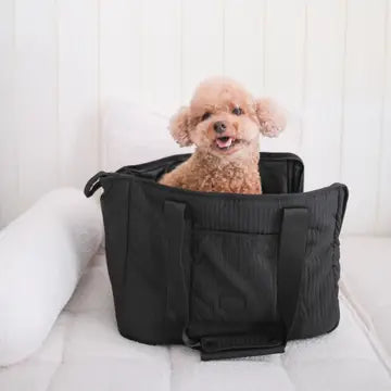 CITY TRANSPORTEUR POUR CHIENS - Toutoustore