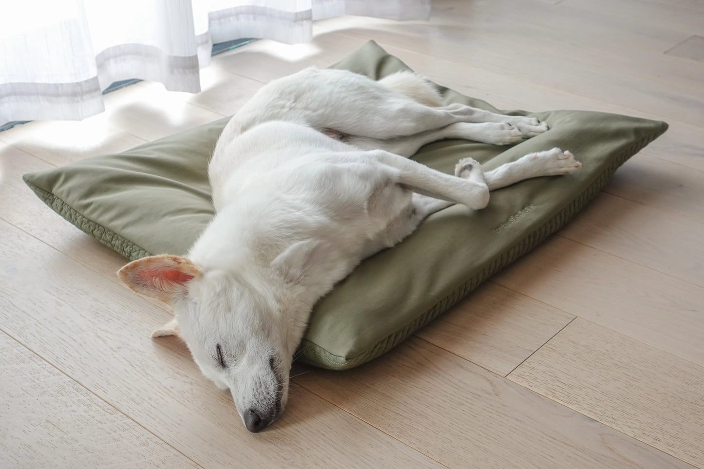 LATIN LIT POUR ANIMAUX - CHIEN - Toutoustore