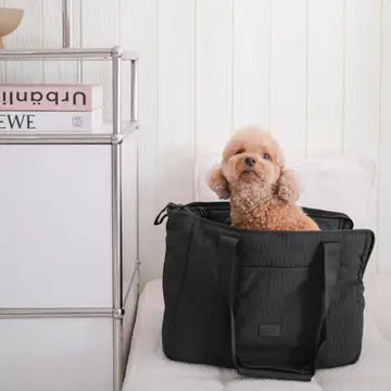 CITY TRANSPORTEUR POUR CHIENS - Toutoustore