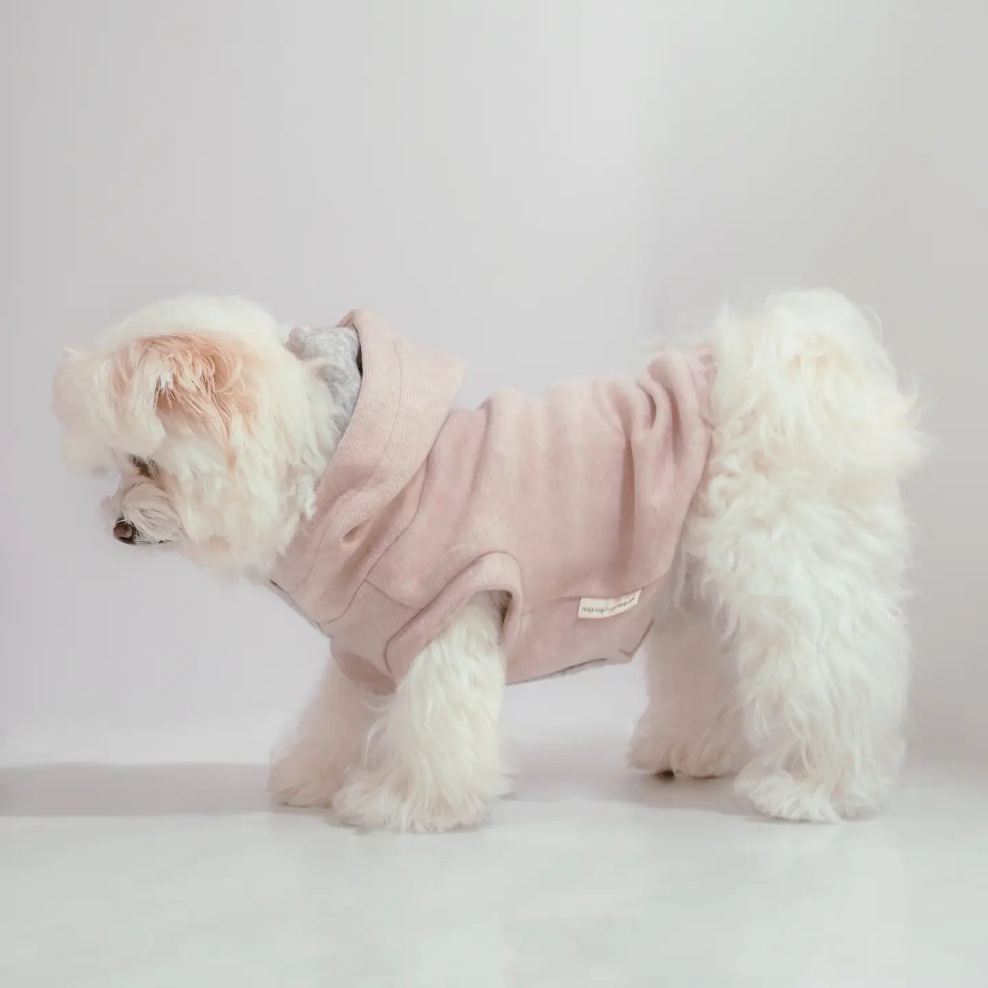 ROBIN VÊTEMENTS POUR CHIEN - Toutoustore