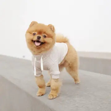 BRETON VÊTEMENTS POUR CHIEN - Toutoustore