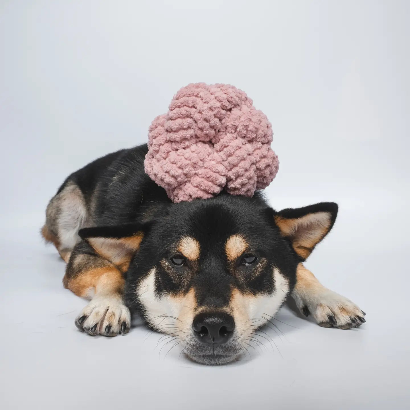 NOUNOUNOU JOUET POUR CHIEN ET CHAT ROSE ENRICHISSEMENT - Toutoustore