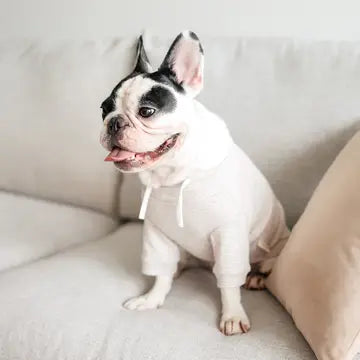 BRETON VÊTEMENTS POUR CHIEN - Toutoustore