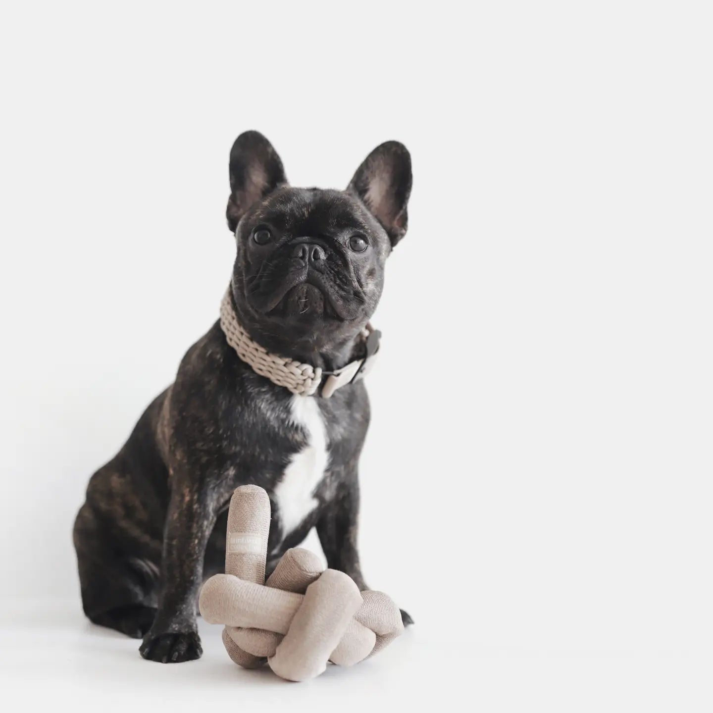 NOUNOU JOUET POUR CHIEN BRUN AVEC GRAPPES FROISSÉES - Toutoustore