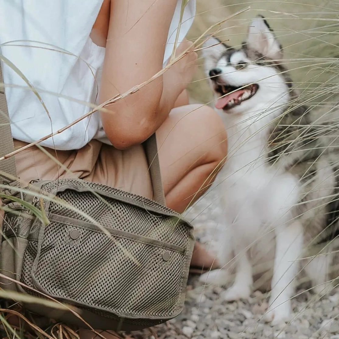 SAC DE CUEILLAGE, DISTRIBUTEUR DE SACS À DÉJECTIONS INTÉGRÉ
