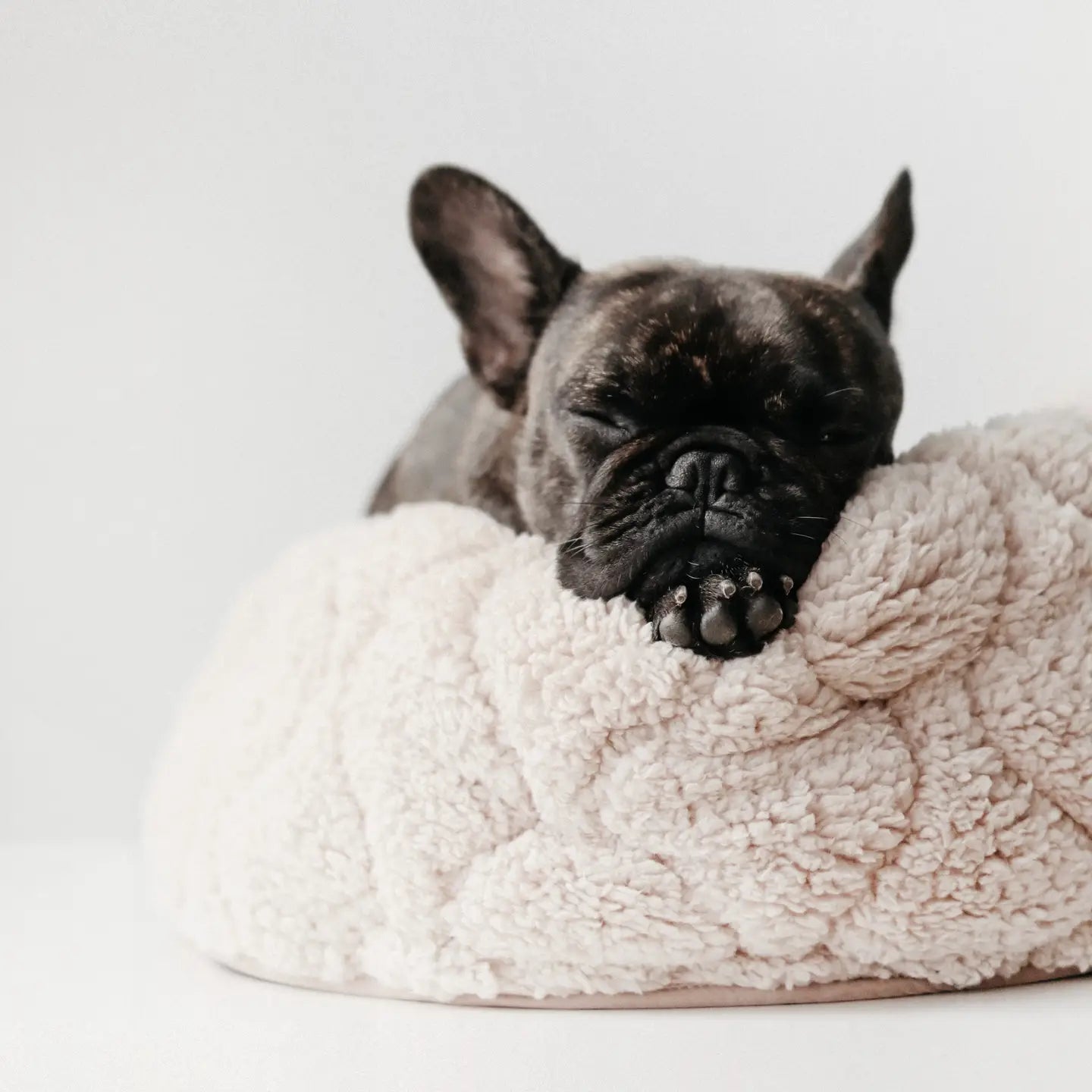 LIT À TARTES POUR CHIEN ET CHAT - Toutoustore