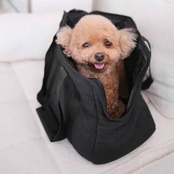 CITY TRANSPORTEUR POUR CHIENS - Toutoustore