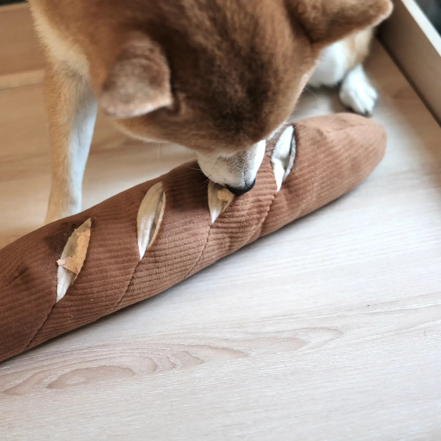 JOUET POUR CHIEN BAGUETTE ENRICHISSEMENT - Toutoustore