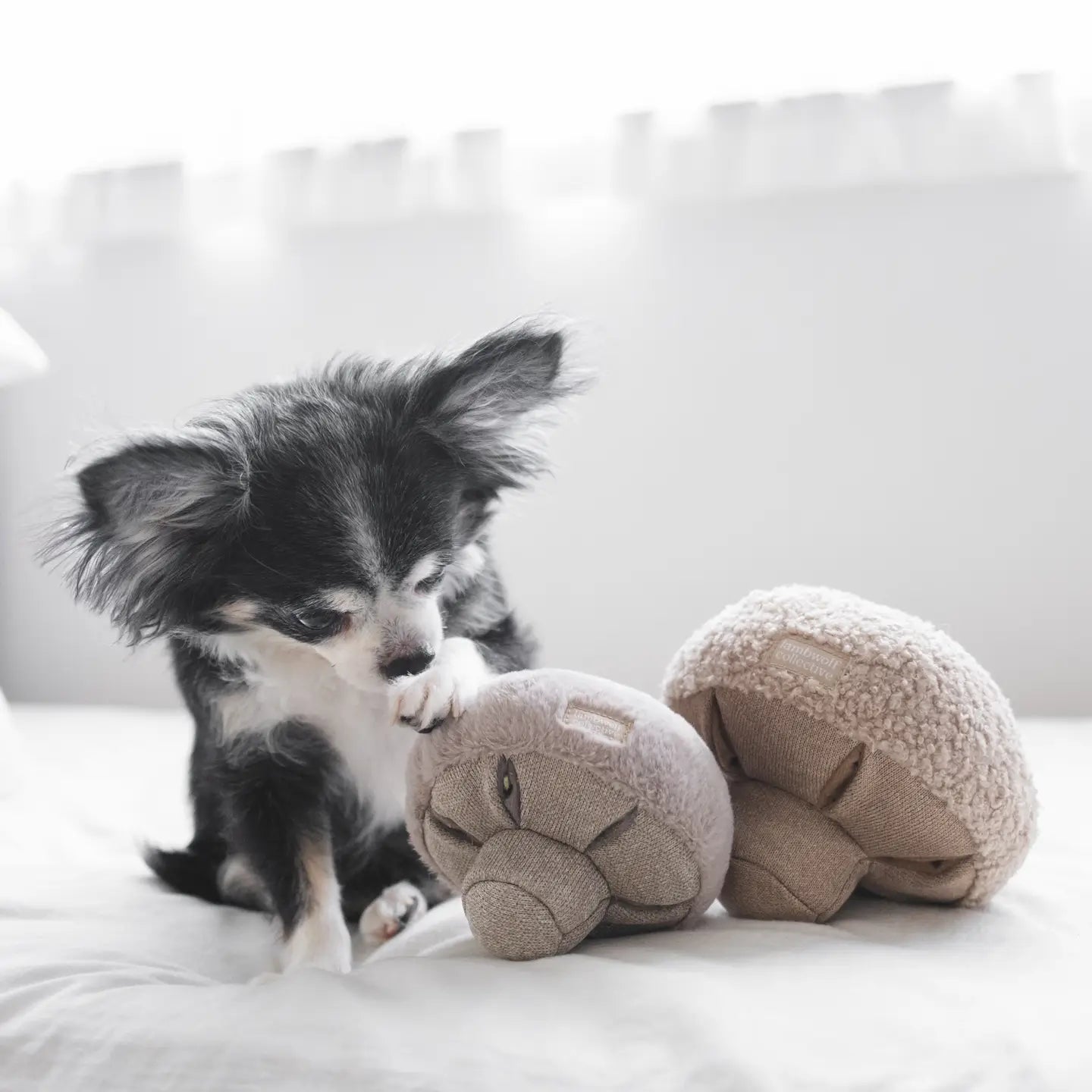 JOUET POUR CHIEN GUU ENRICHISSEMENT - Toutoustore