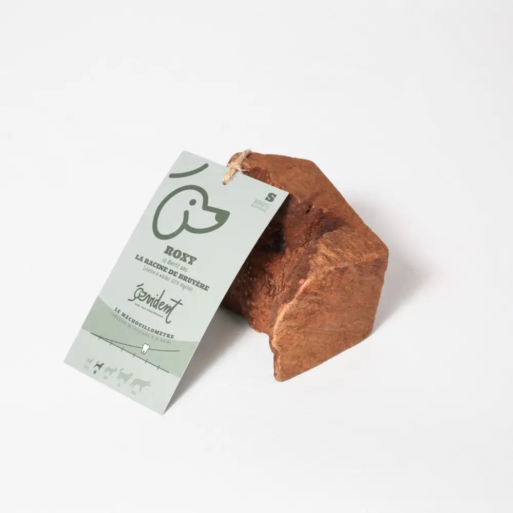 ROXY - Racine de bruyère à mâcher pour chien - Toutoustore