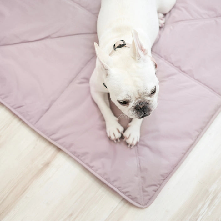 ORII tapis de voyage ultraléger pour animaux - Toutoustore
