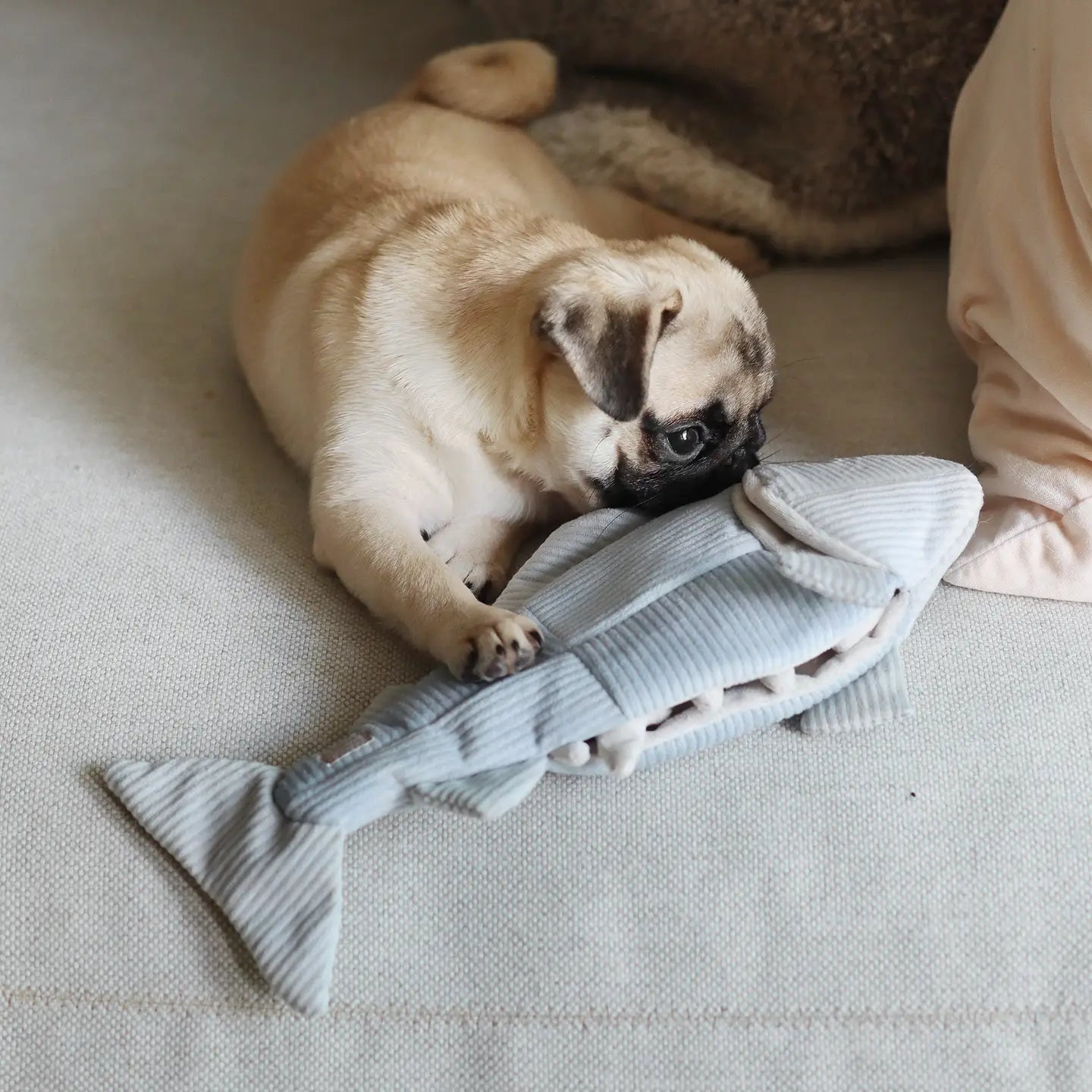 JOUET POUR CHIEN TRUIT ENRICHISSEMENT - Toutoustore