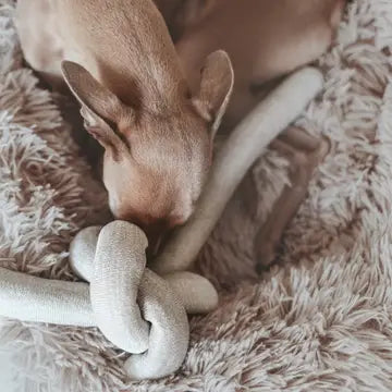 NOU JOUET POUR CHIEN GRIS AVEC GRAPPES FROISSÉES ENRICHISSEMENT - Toutoustore