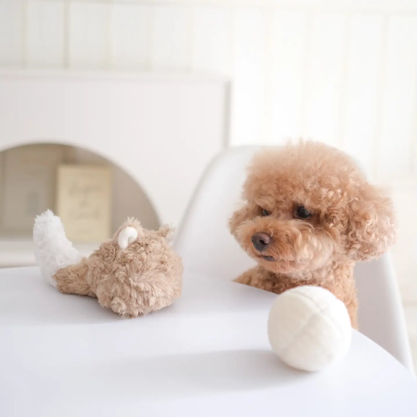 JOUET POUR CHIEN FOX POP - Toutoustore