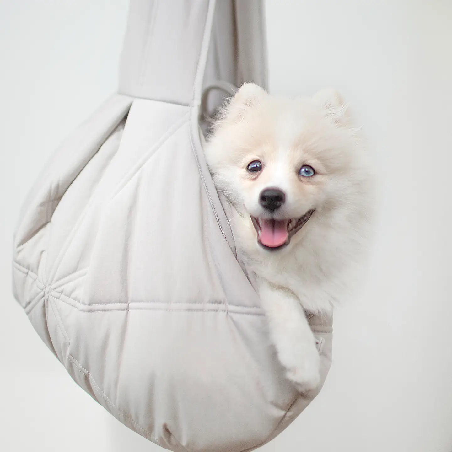 OLLA PETIT NACELLE DE TRANSPORT POUR CHIENS - Toutoustore