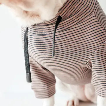 BRETON VÊTEMENTS POUR CHIEN - Toutoustore