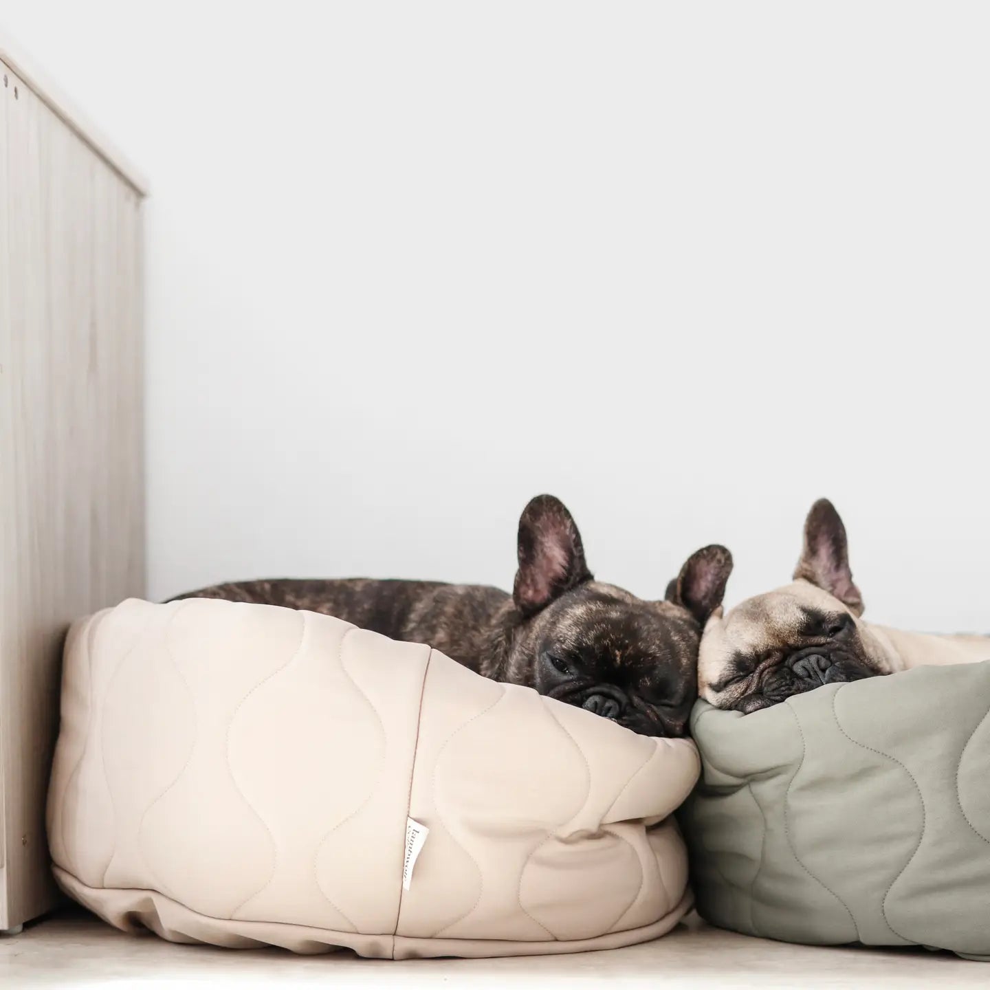 LIT À TARTES POUR CHIEN ET CHAT - Toutoustore