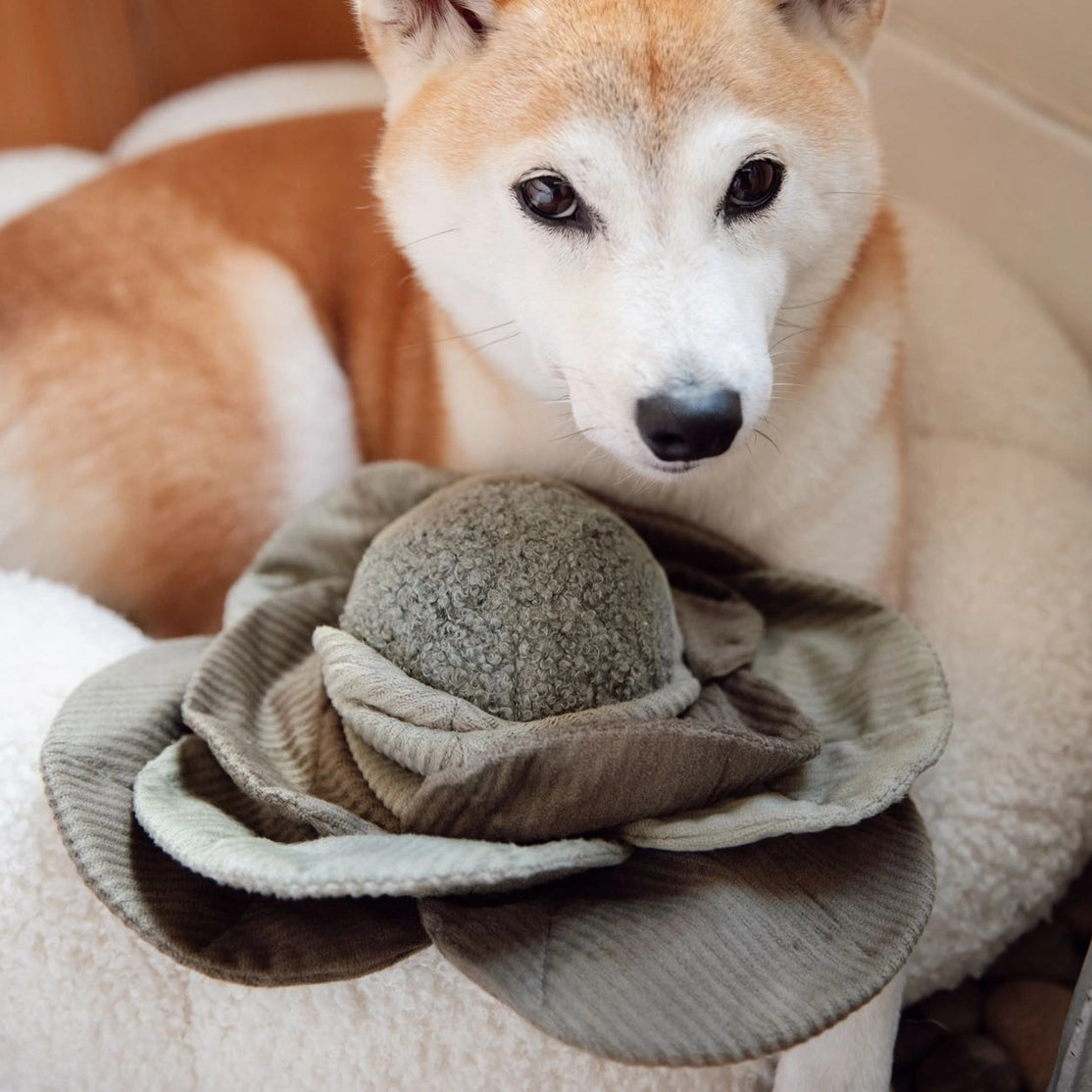 JOUET POUR CHIEN CABBAGE POP ENRICHISSEMENT - Toutoustore