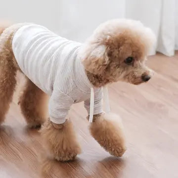 BRETON VÊTEMENTS POUR CHIEN - Toutoustore