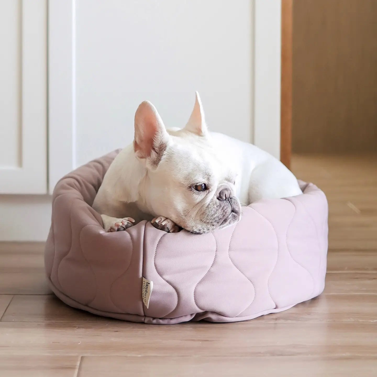 LIT À TARTES POUR CHIEN ET CHAT - Toutoustore