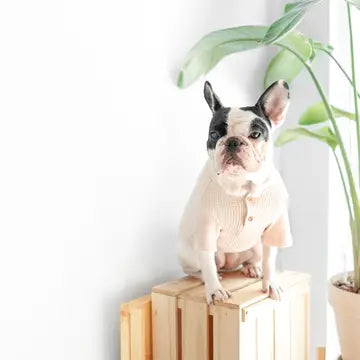 GAUFRE VÊTEMENTS POUR CHIEN - Toutoustore 