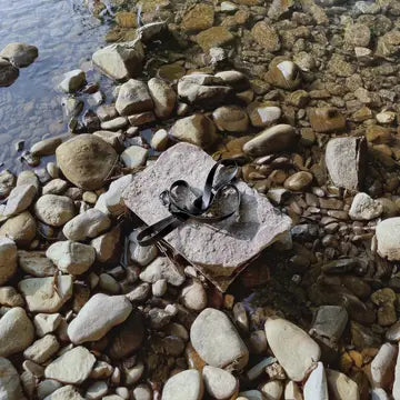 MELLEM laisse imperméable à longueur convertible pour chiens - Toutoustore 
