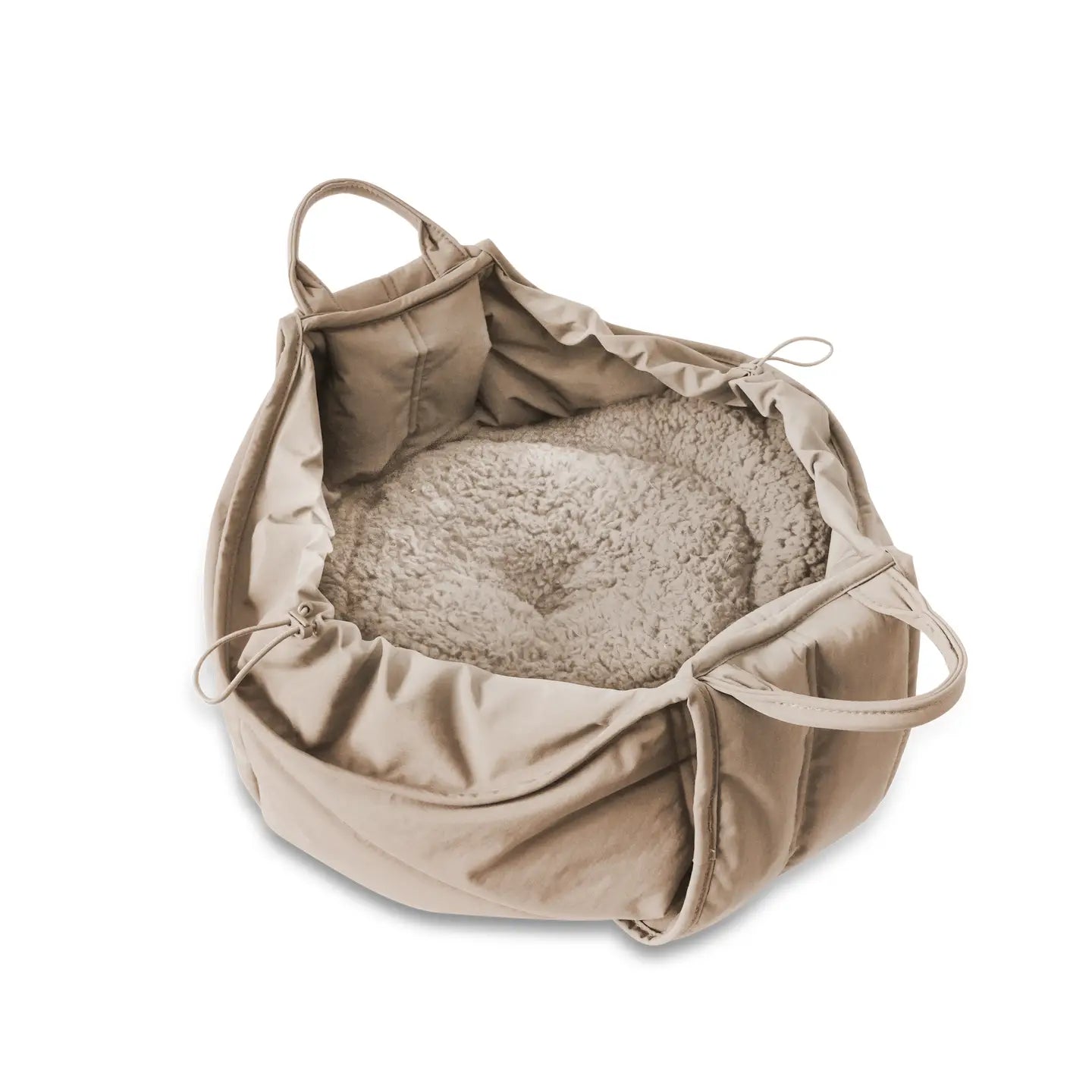 OLLA PETIT NACELLE DE TRANSPORT POUR CHIENS - Toutoustore 