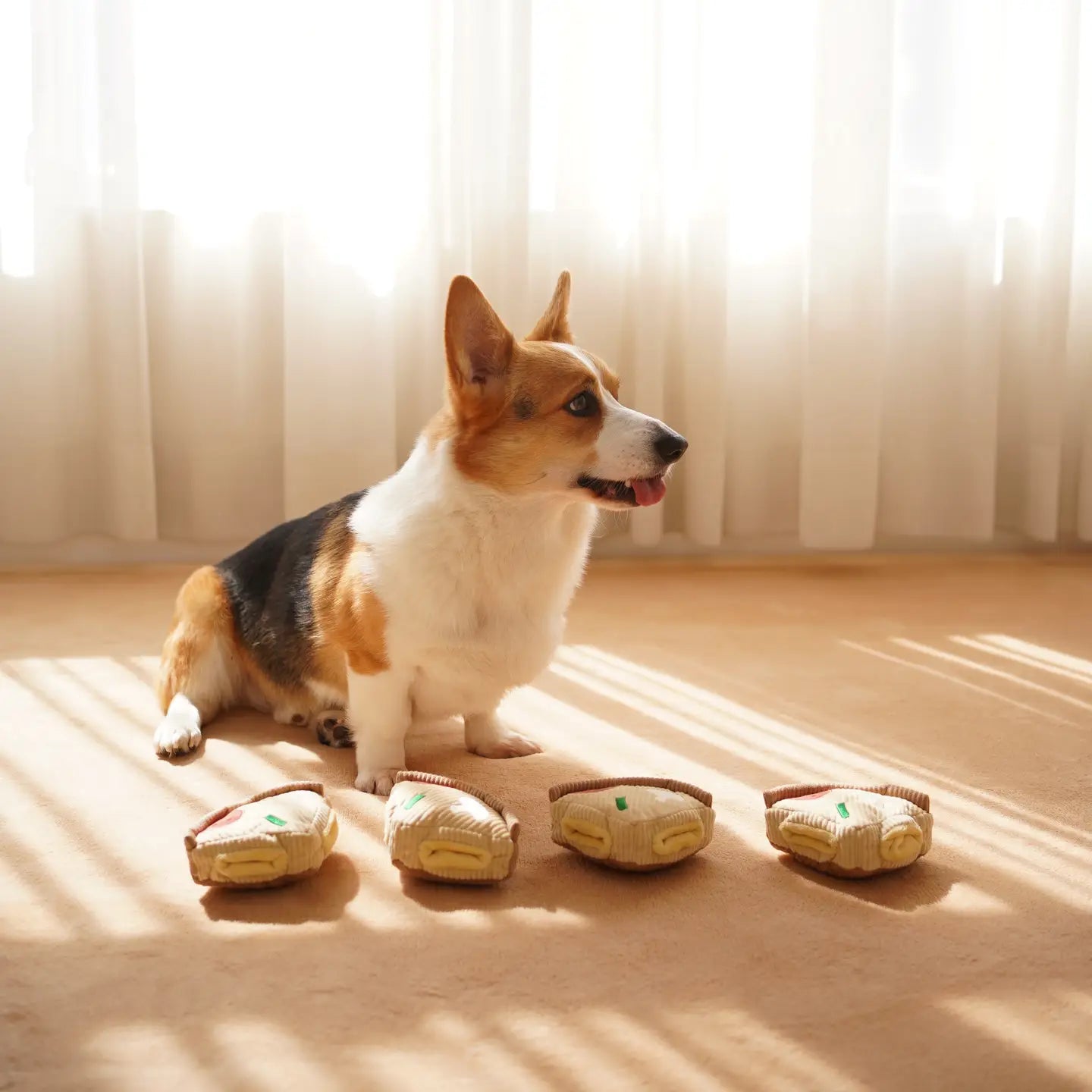 JOUET POUR CHIEN DEEP DISH PIZZA ENRICHISSEMENT - Toutoustore 